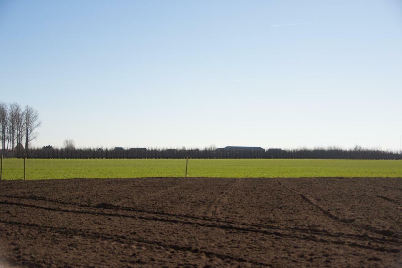 'Op De Borgt' Met Finse Grill Kota Villa Wellen Kültér fotó